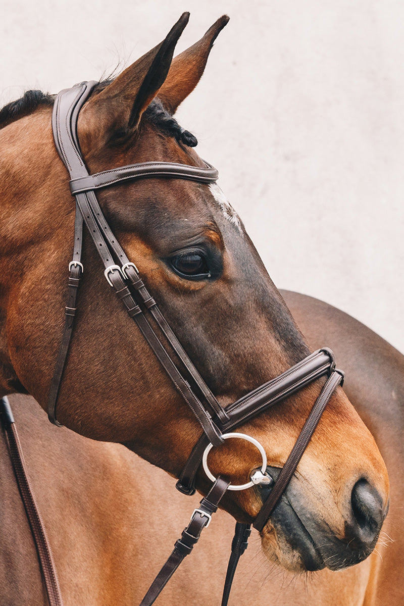 Schockemohle Tokyo Select Bridle Espresso/Silver