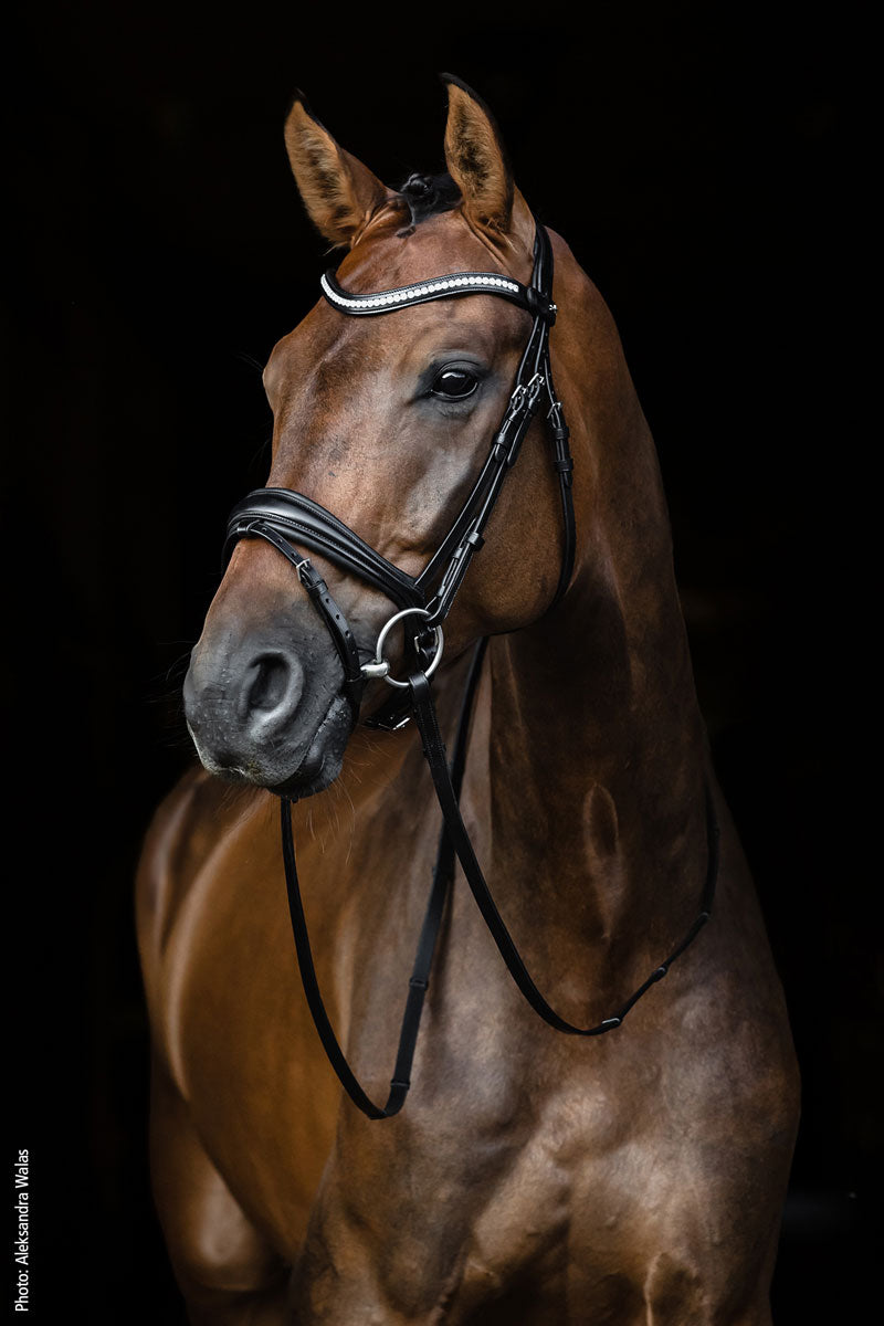 Schockemohle Charleston Bridle Black/Silver