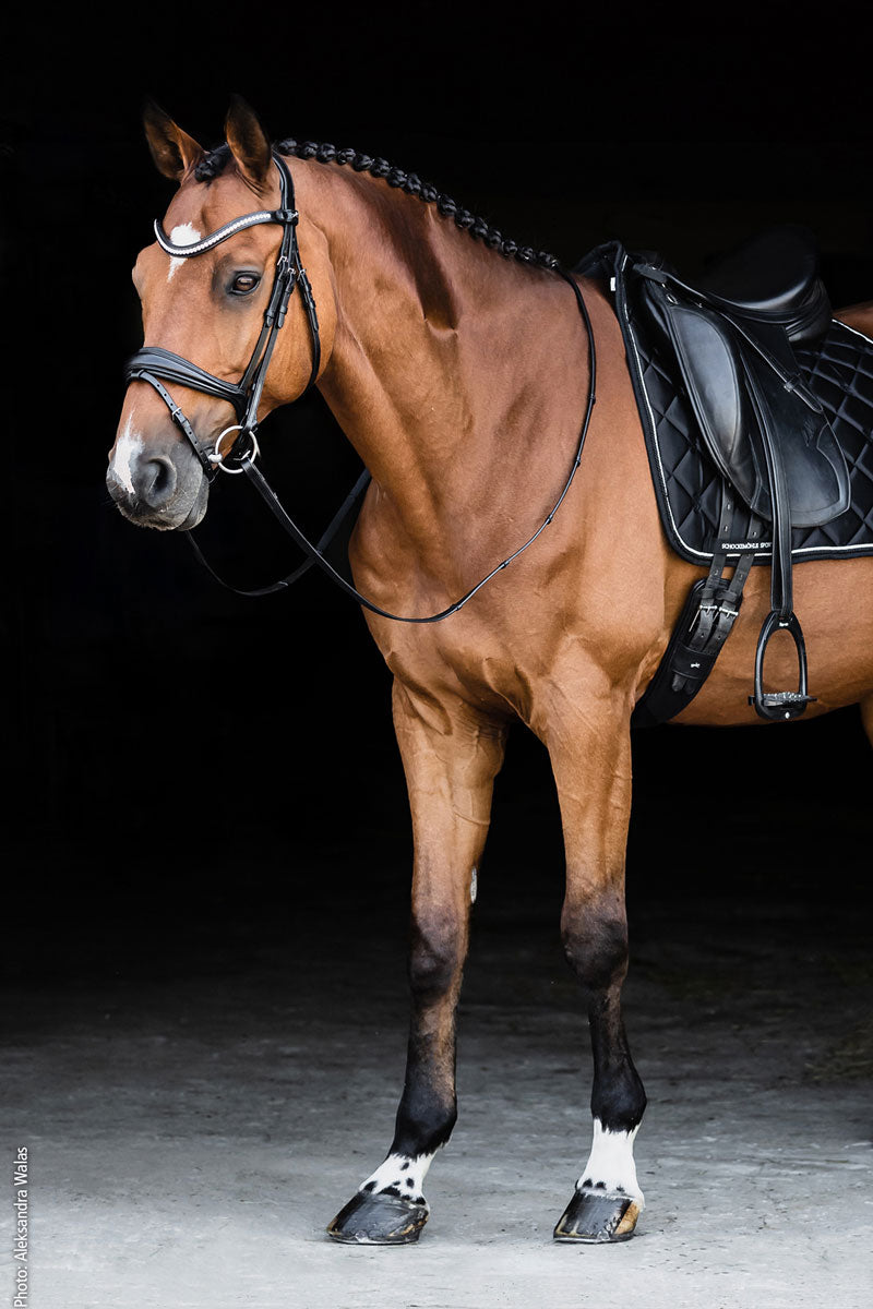 Schockemohle Charleston Bridle Black/Silver