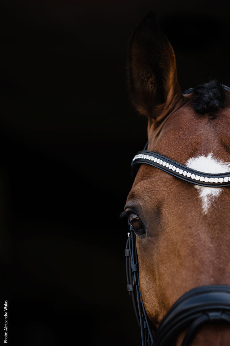 Schockemohle Charleston Bridle Black/Silver