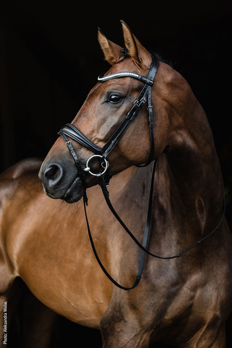 Schockemohle Charleston Bridle Black/Silver