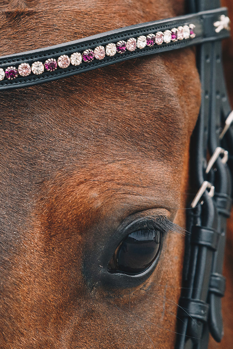 Schockemohle Diamond Select Browband Black/Berry Shades