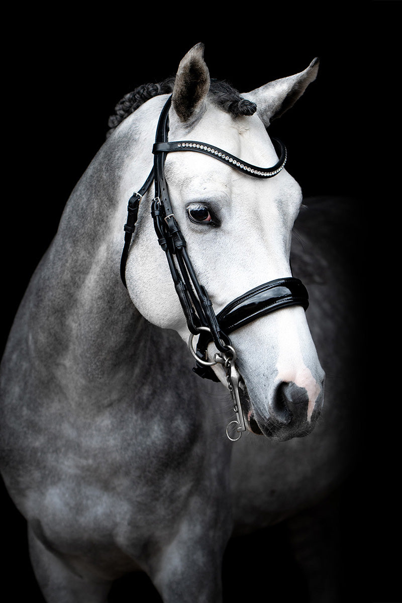 Schockemohle Venice Patent Bridle Black Patent/Silver