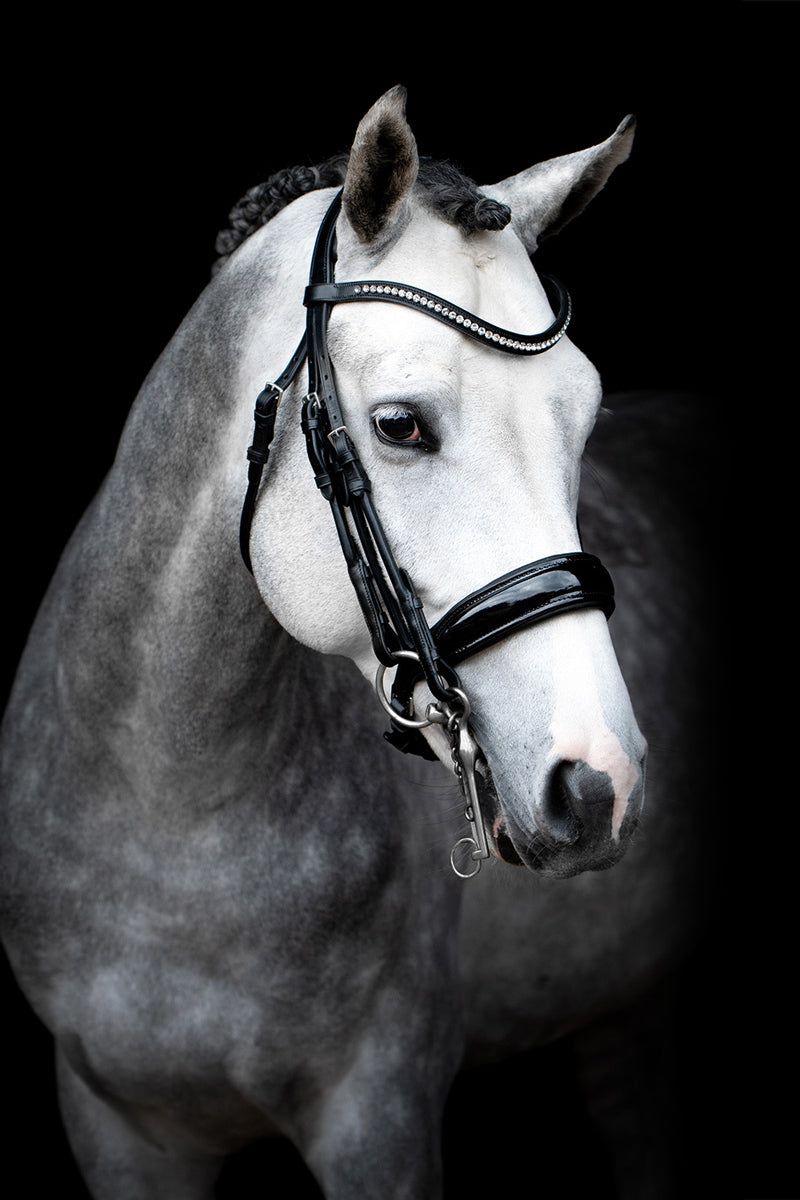 Schockemohle Venice Double Bridle Black/Patent/Silver