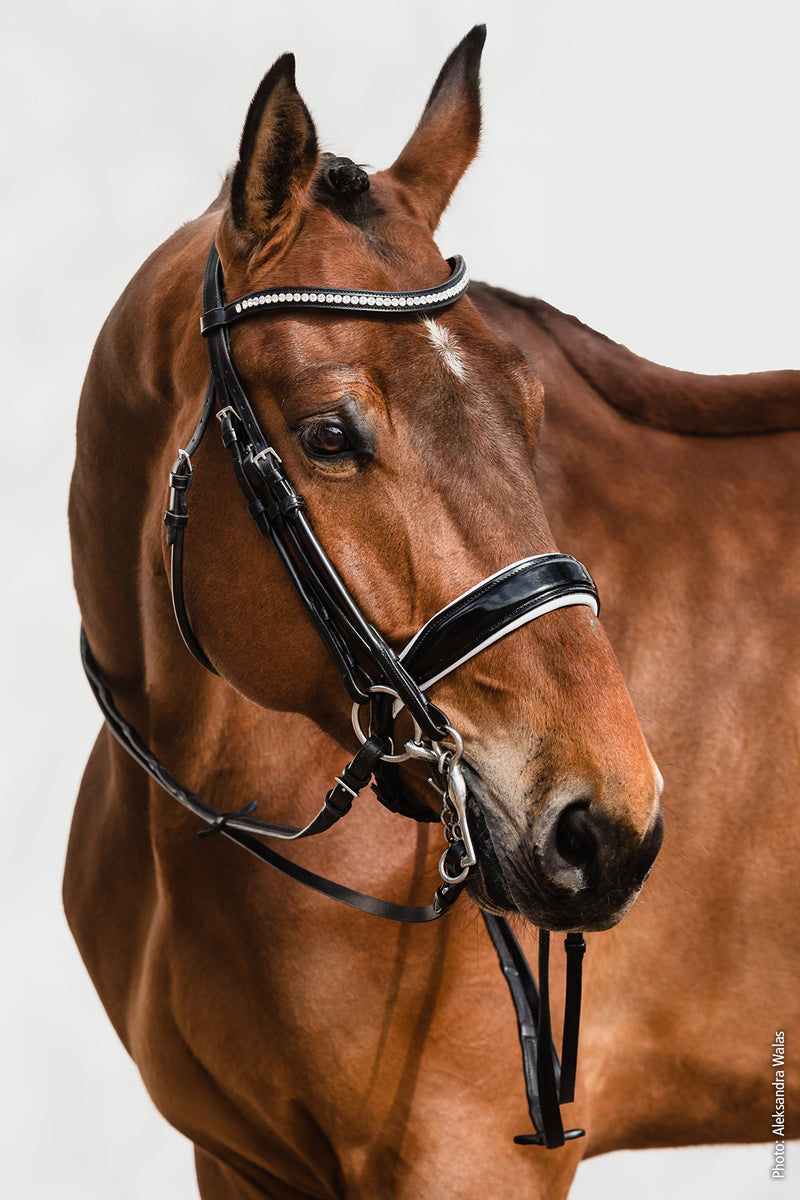 Schockemohle Venice Double Bridle Black/Patent/White/Silver