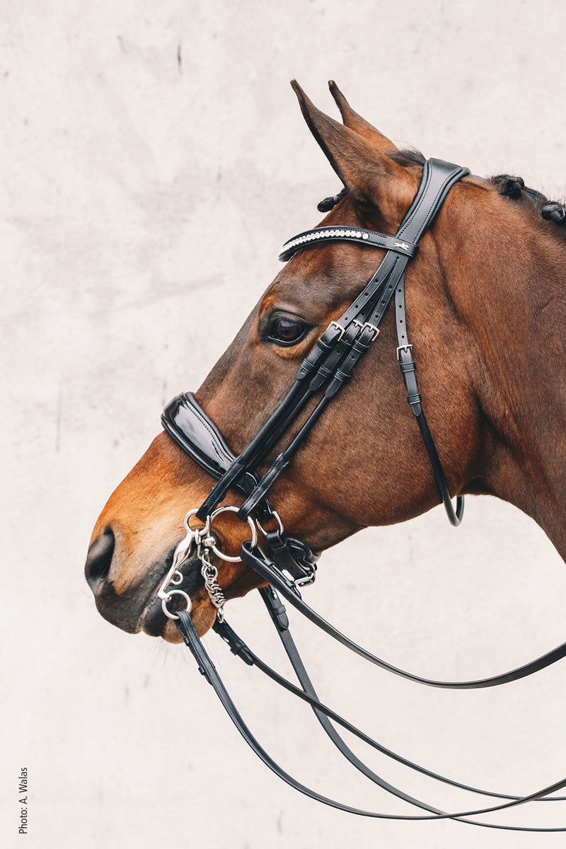 Schockemohle Venice Double Bridle Black/Patent/Silver