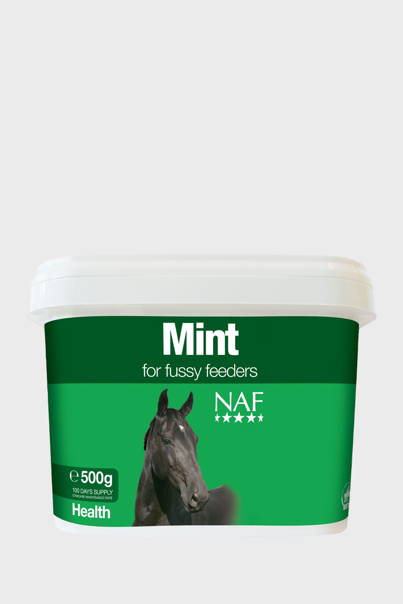 NAF Mint 500g