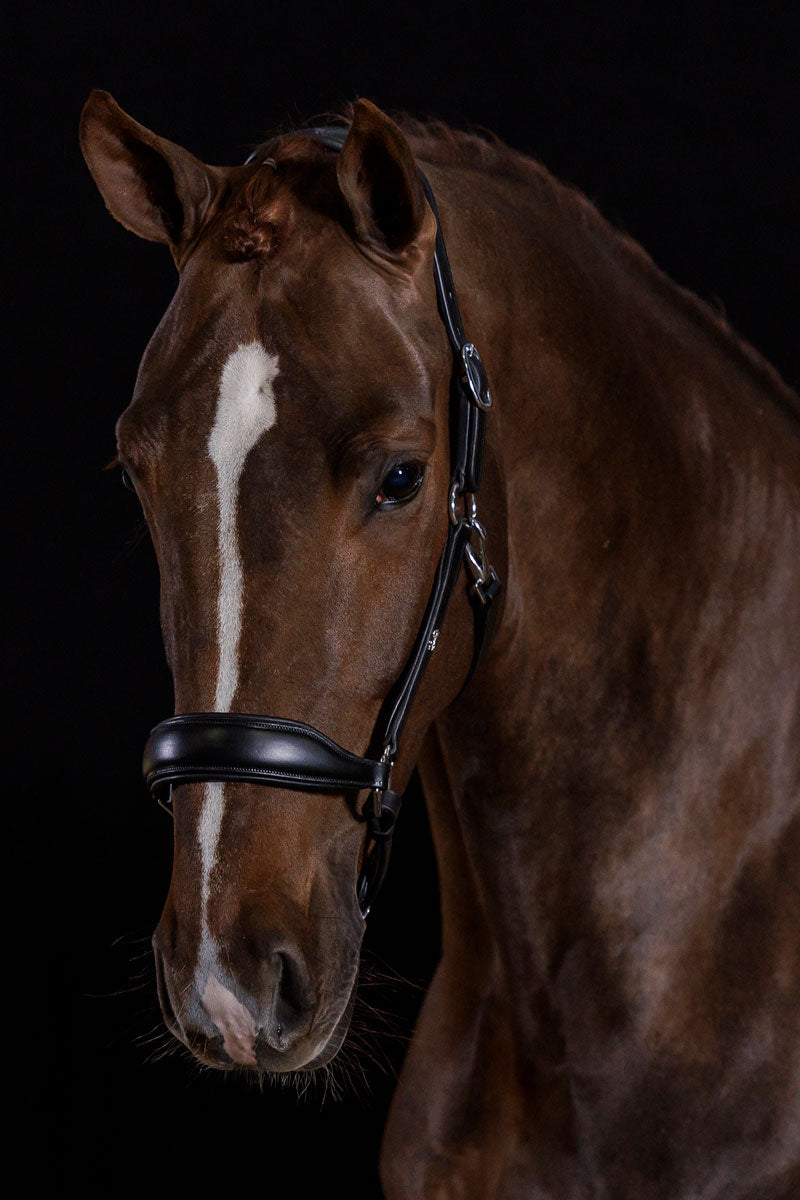 Schockemohle Fremont Headcollar Black/Silver