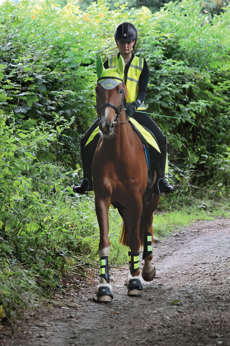 Woof Wear Reflective Club Brushing Boot Yellow