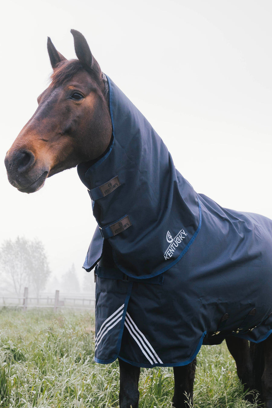 Kentucky All Weather Comfort Neck 200g Navy