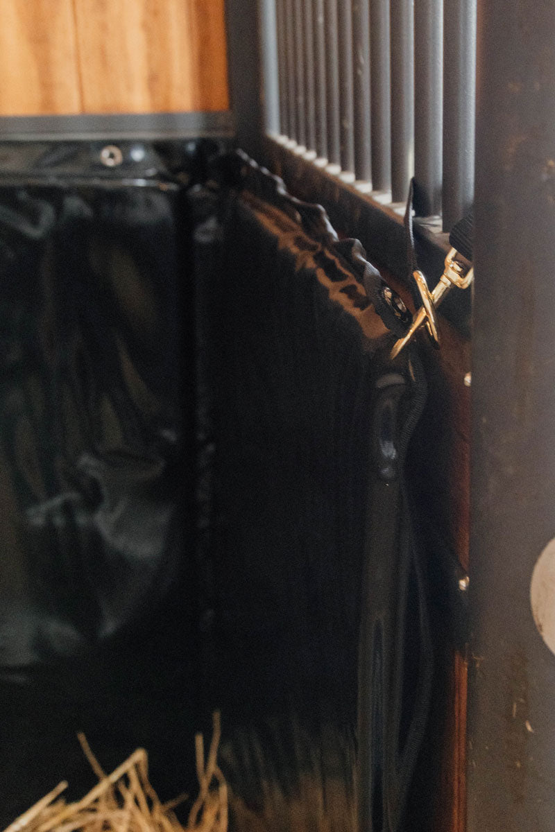 Kentucky Horsewear Kick Pad Black