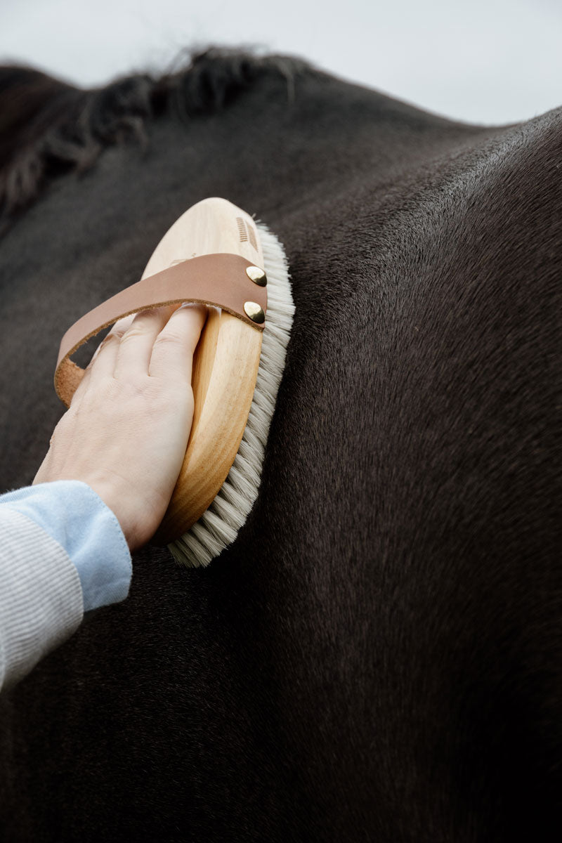 Grooming Deluxe Overall Body Brush Soft Shine