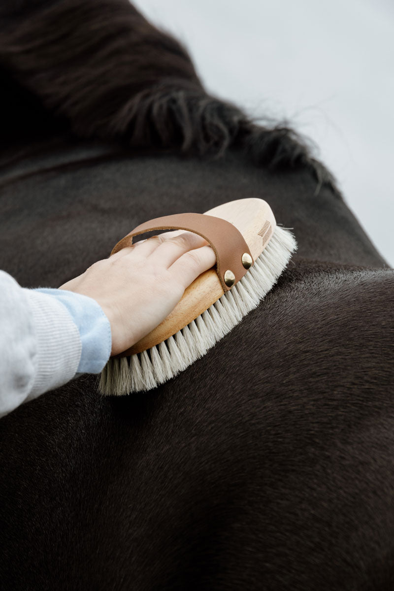 Grooming Deluxe Overall Body Brush Shine