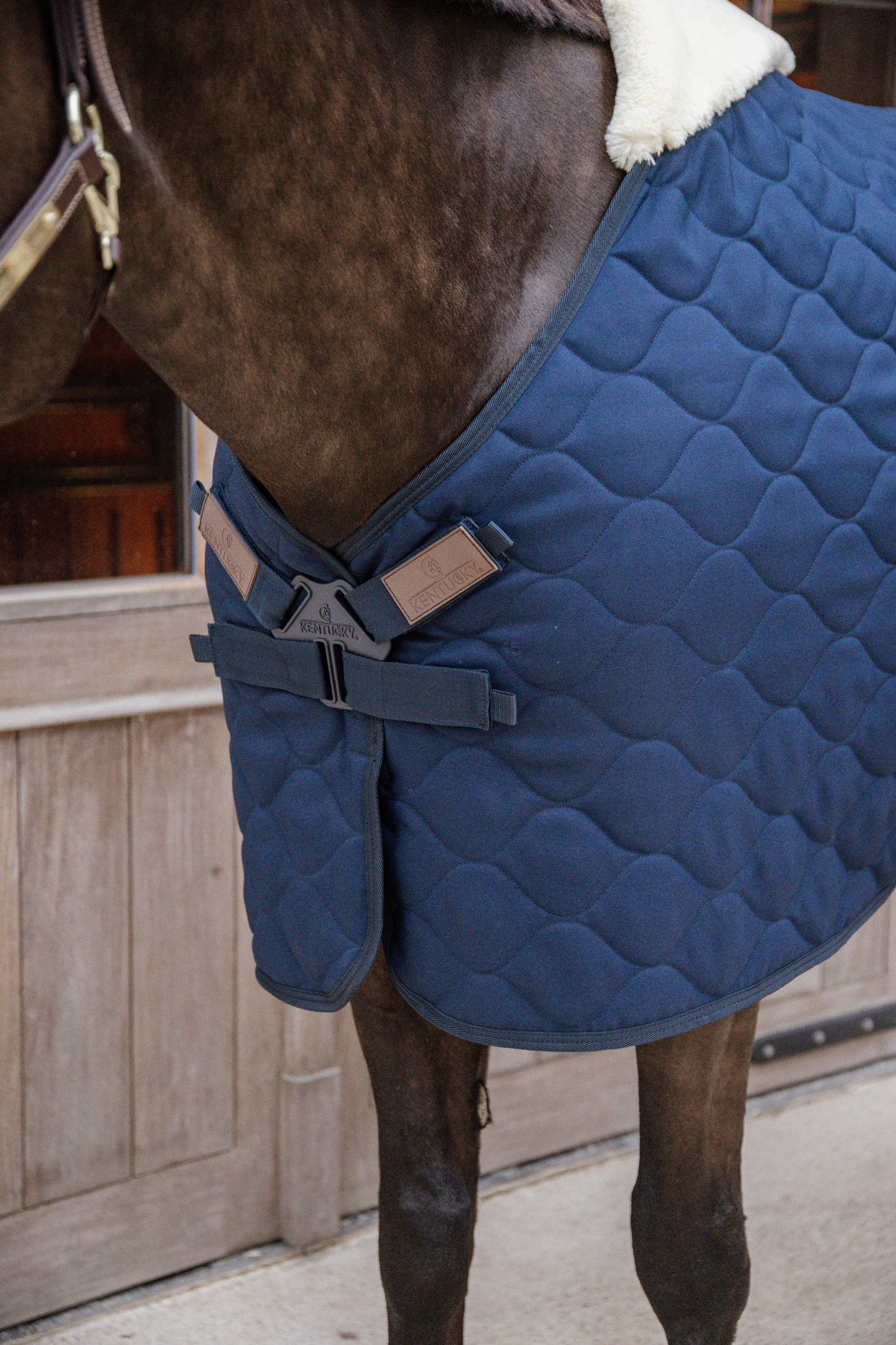 Kentucky Horsewear Stable Rug Comfort 200g Navy