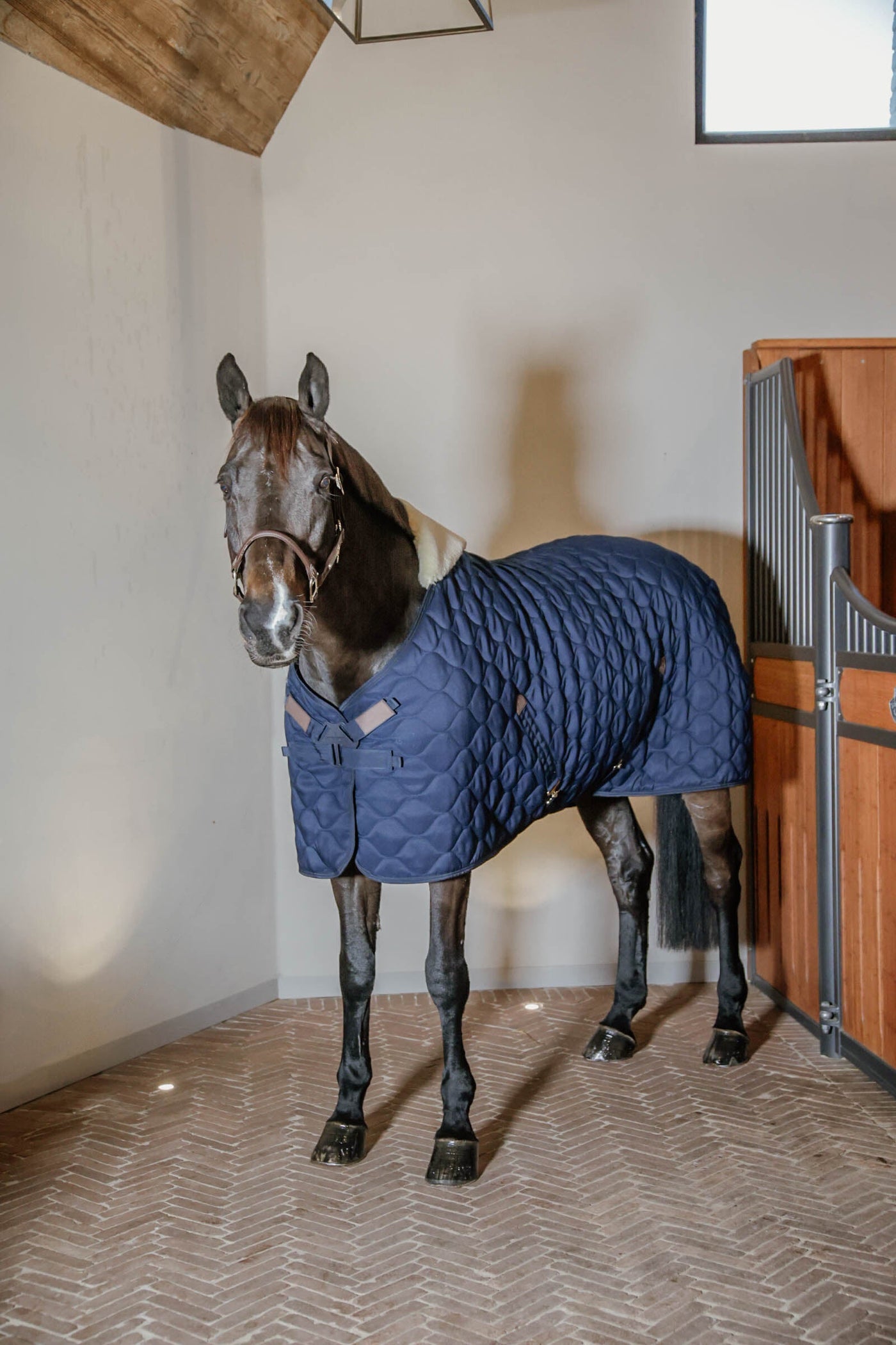Kentucky Horsewear Stable Rug Comfort 200g Navy
