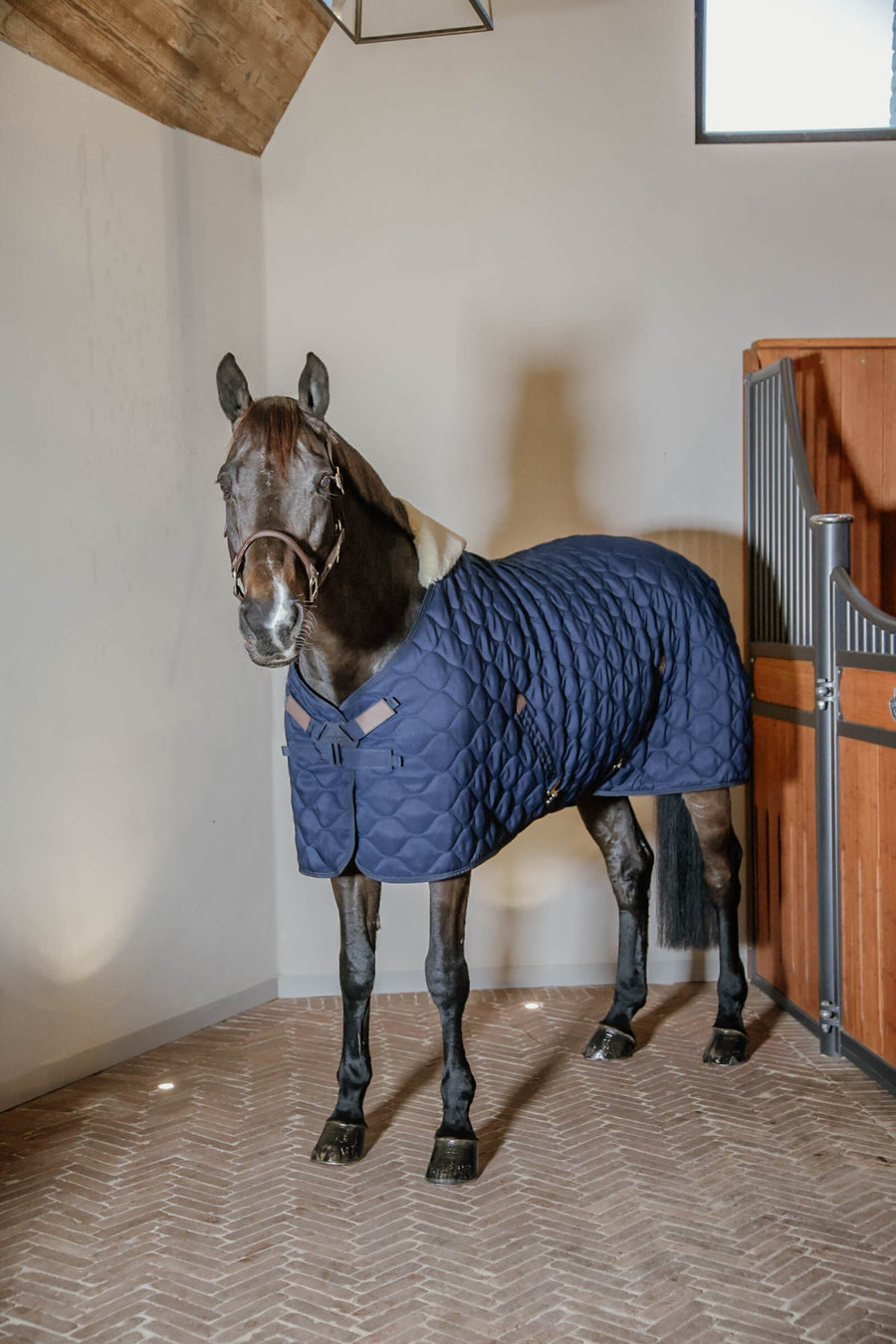 Kentucky Horsewear Stable Rug Comfort 200g Navy