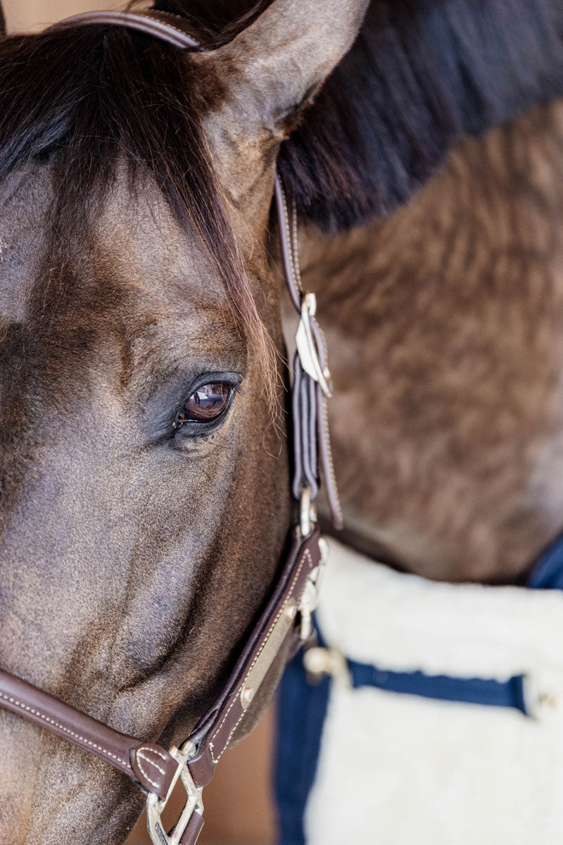 Kentucky Horsewear Chest Expander Vegan Sheepskin (One Buckle) Navy