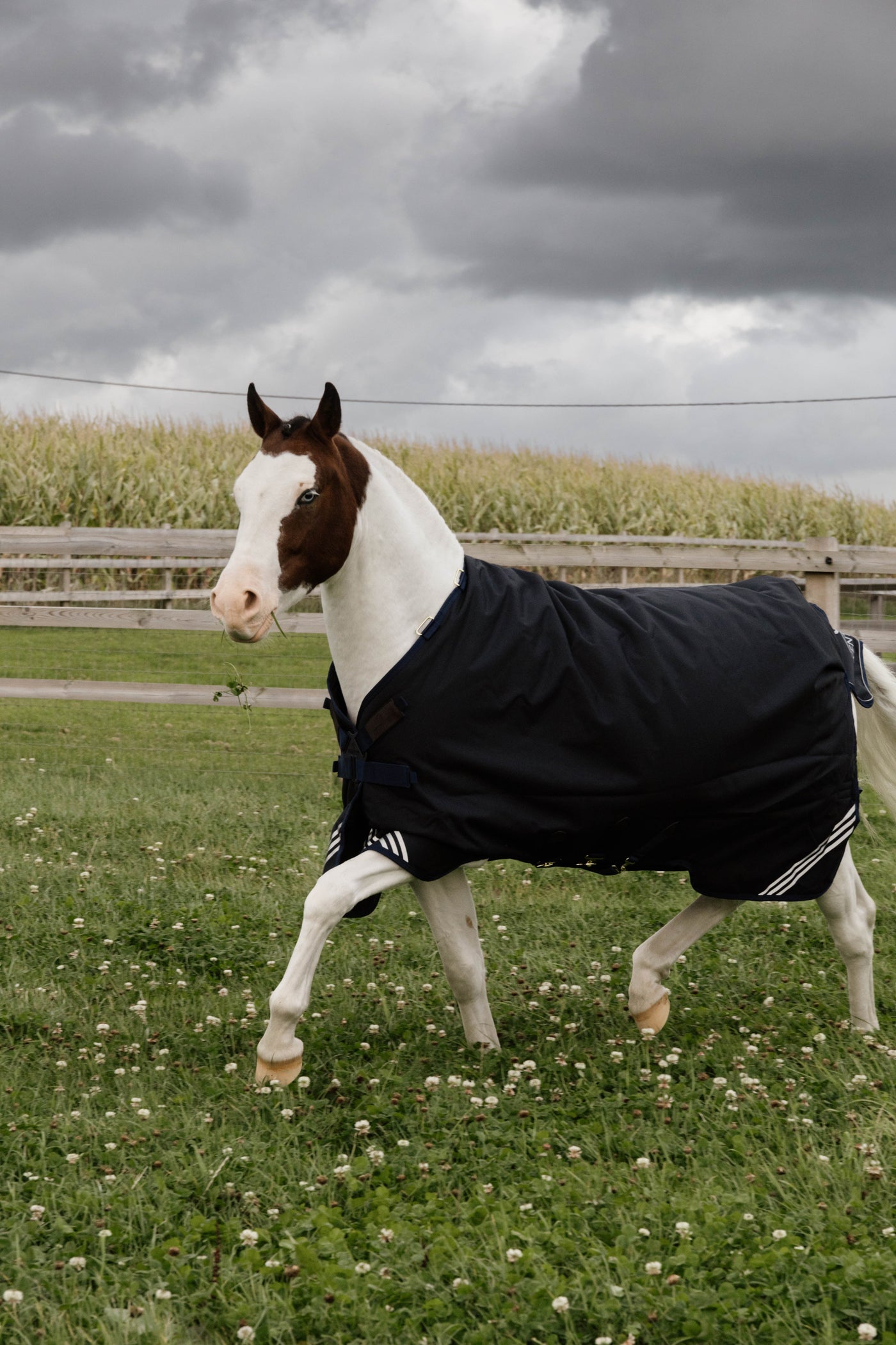 Kentucky Horsewear All Weather Comfort Turnout Rug 400g
