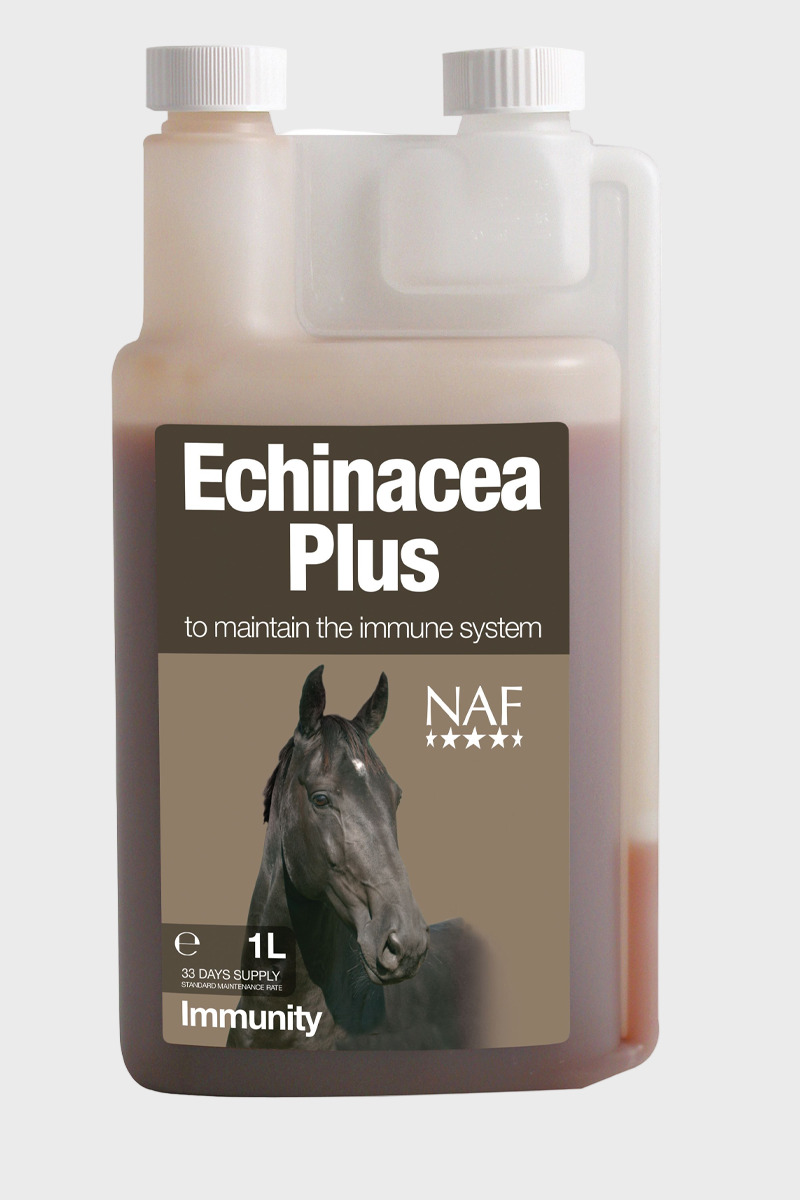 NAF Echinacea Plus 1L