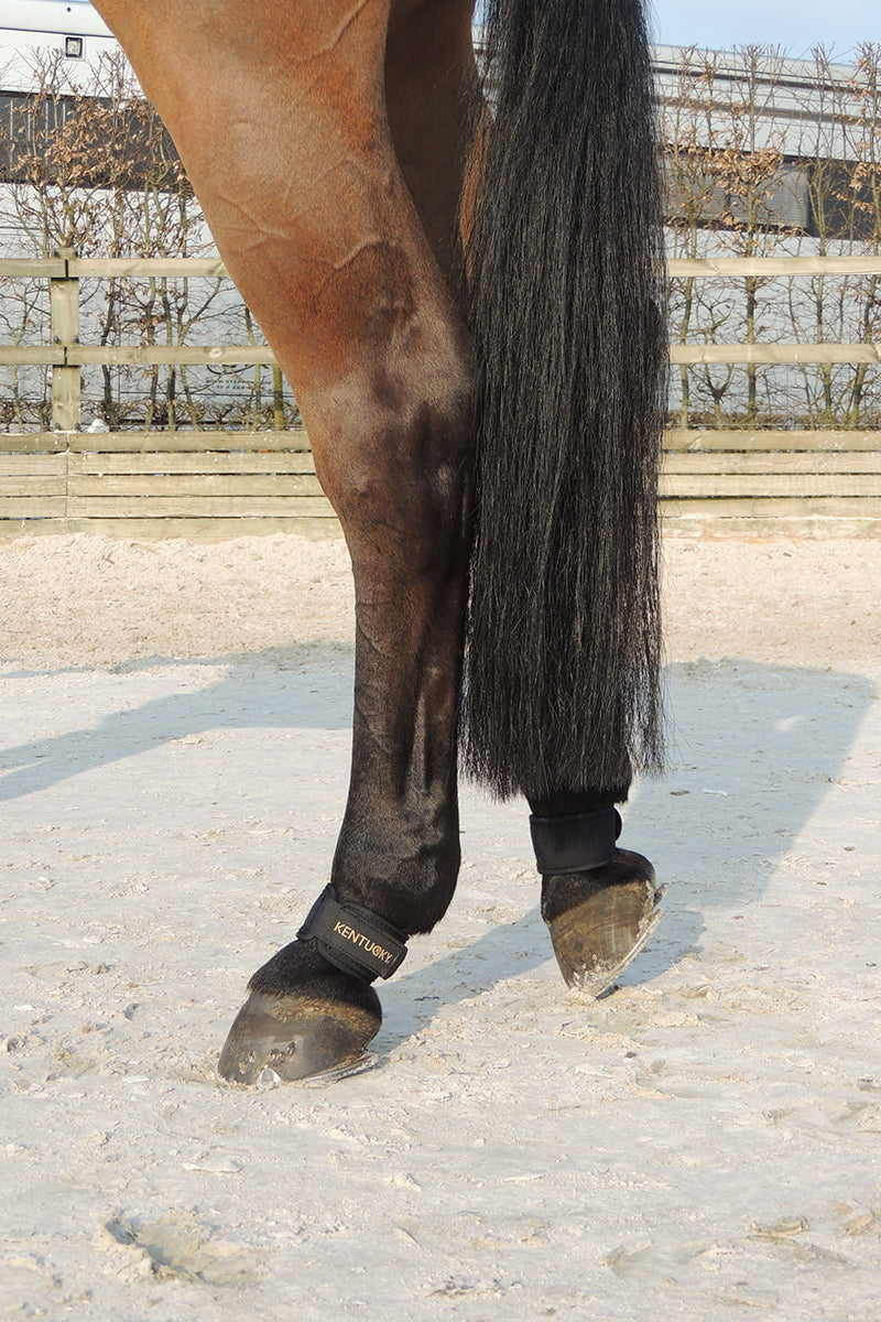 Kentucky Horsewear Pastern Wrap Black