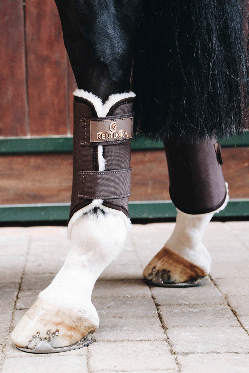 Kentucky Horsewear Brushing Boots Solimbra Hind Brown