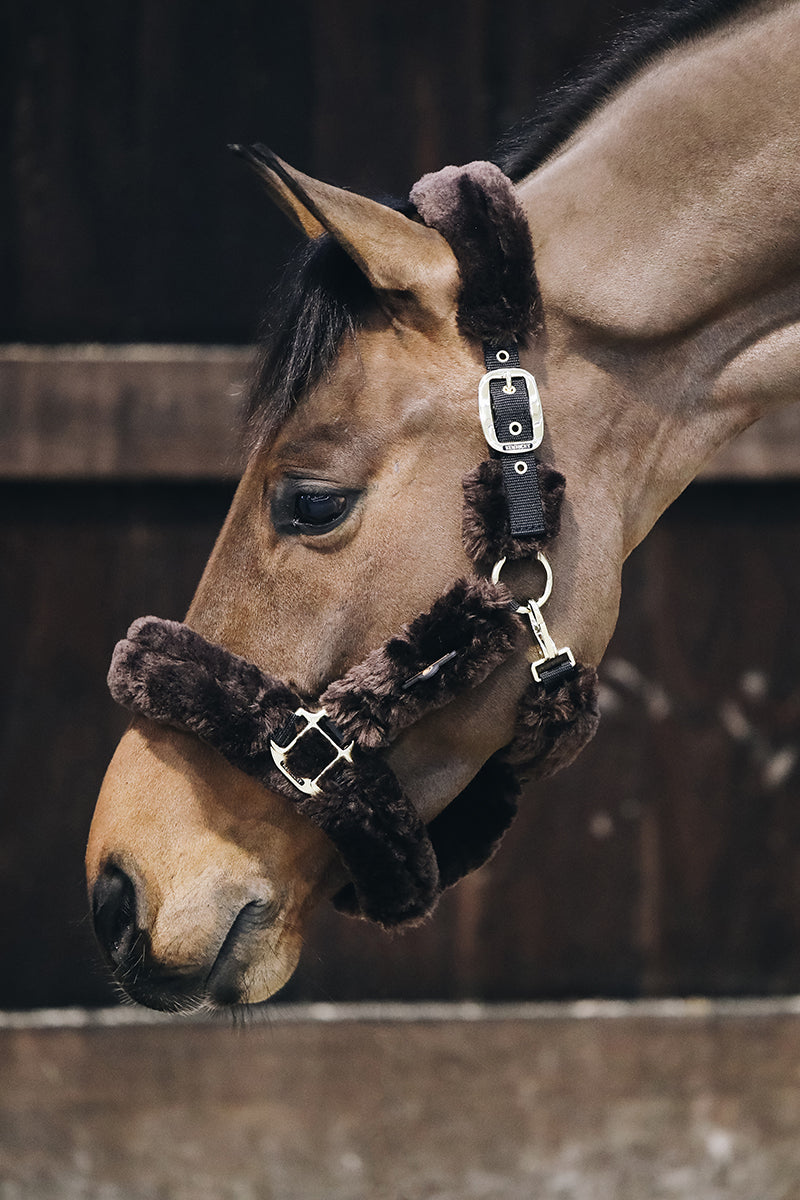 Kentucky Horsewear Sheepskin Shipping Halter Mocha