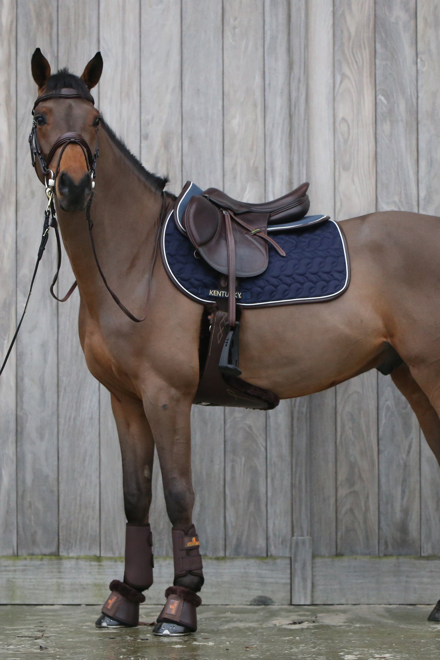 Kentucky Horsewear Saddle Pad No Logo