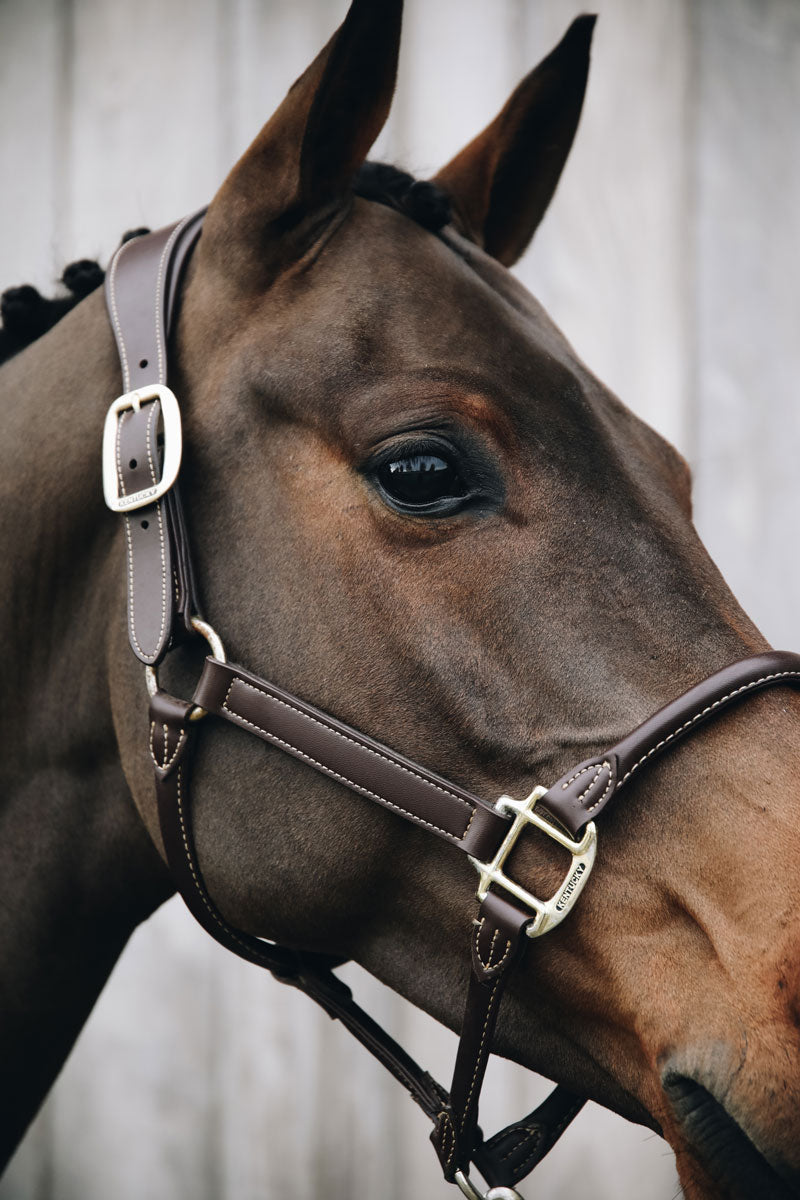 Kentucky Horsewear Anatomic Leather Halter Brown