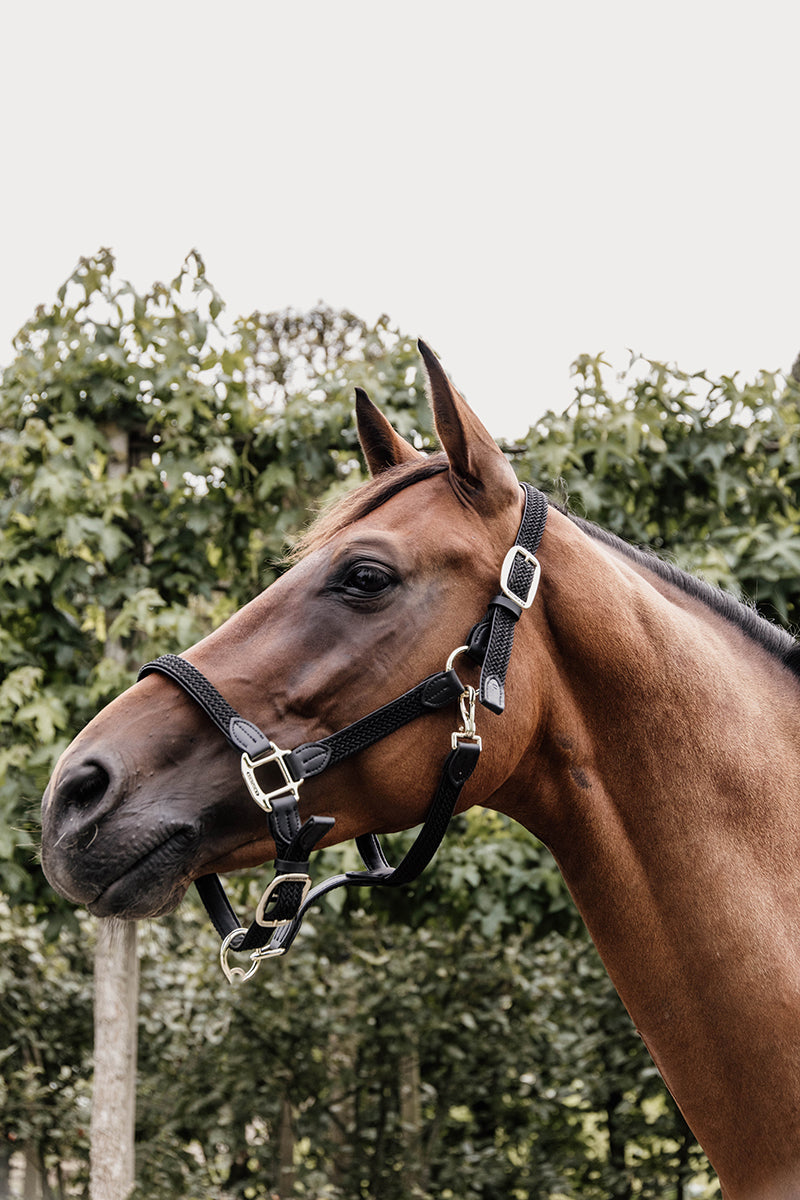 Kentucky Horsewear Plaited Nylon Halter Black