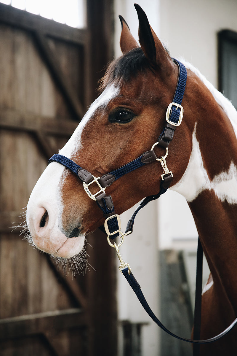 Kentucky Horsewear Plaited Nylon Lead Rope Navy