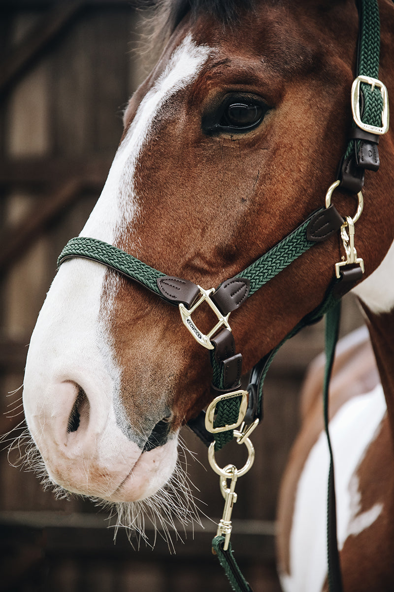 Kentucky Horsewear Plaited Nylon Halter Olive