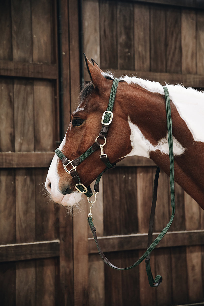 Kentucky Horsewear Plaited Nylon Halter Olive