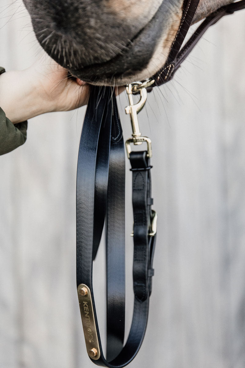 Kentucky Horsewear Presentation Lead Rein Black