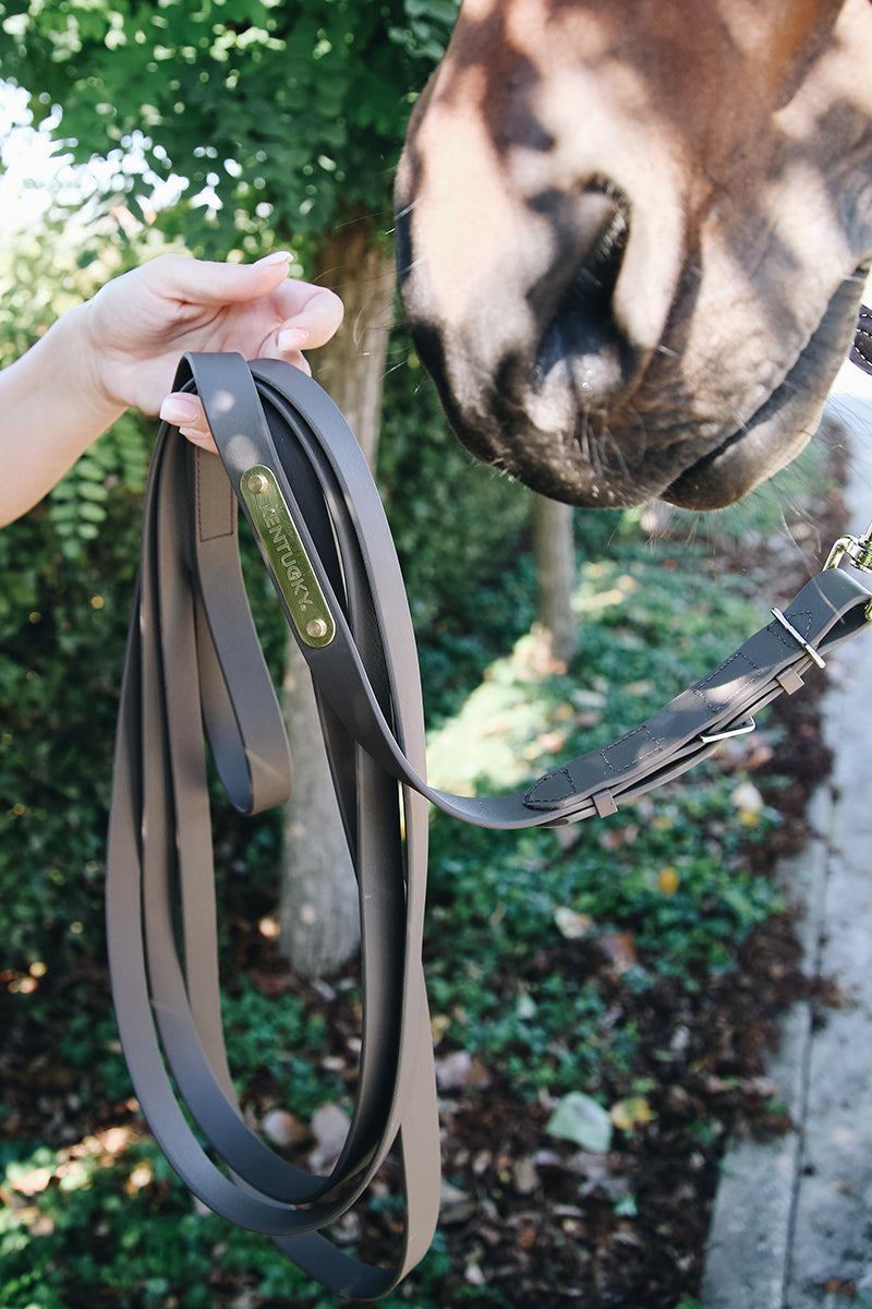 Kentucky Horsewear Stallion Lead Brown