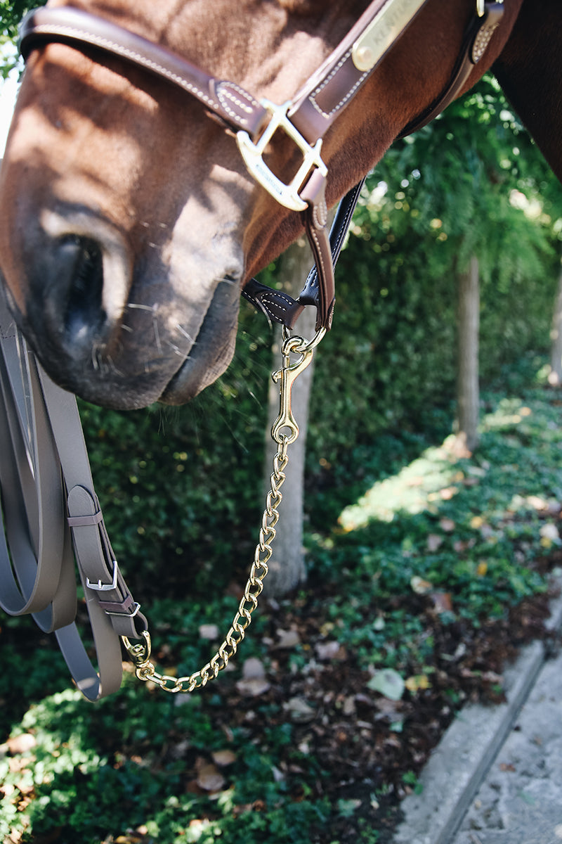 Kentucky Horsewear Stallion Chain