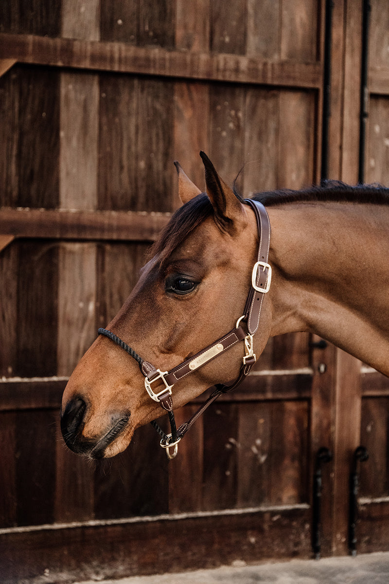 Kentucky Horsewear Leather Rope Halter Brown