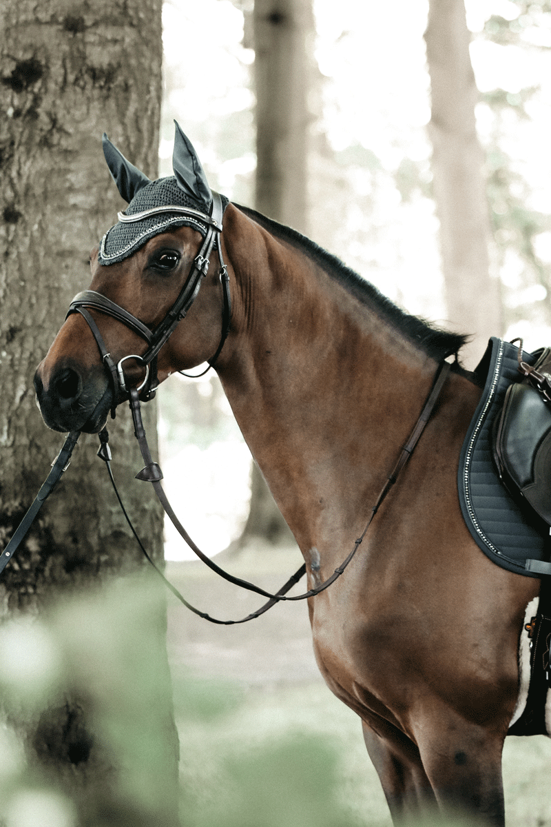 Kentucky Horsewear Fly Veil Wellington Stone & Pearl Grey