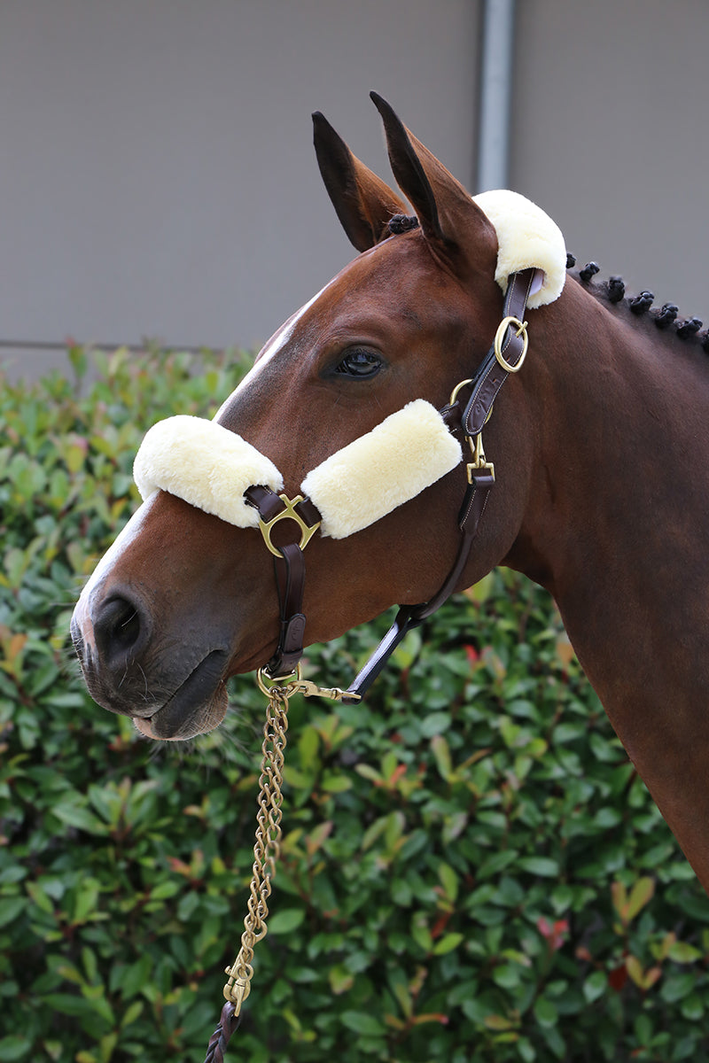 Kentucky Horsewear Sheepskin Headcollar Set (4 Piece) Natural