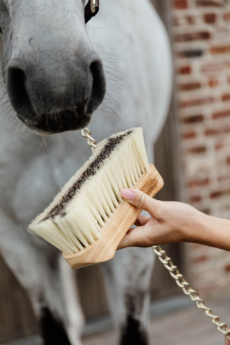 Grooming Deluxe Body Brush Middle Soft