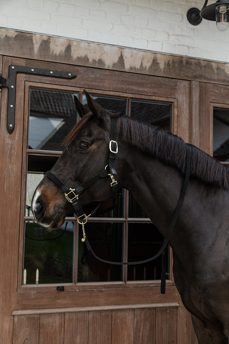 Kentucky Horsewear Plaited Nylon Halter Black