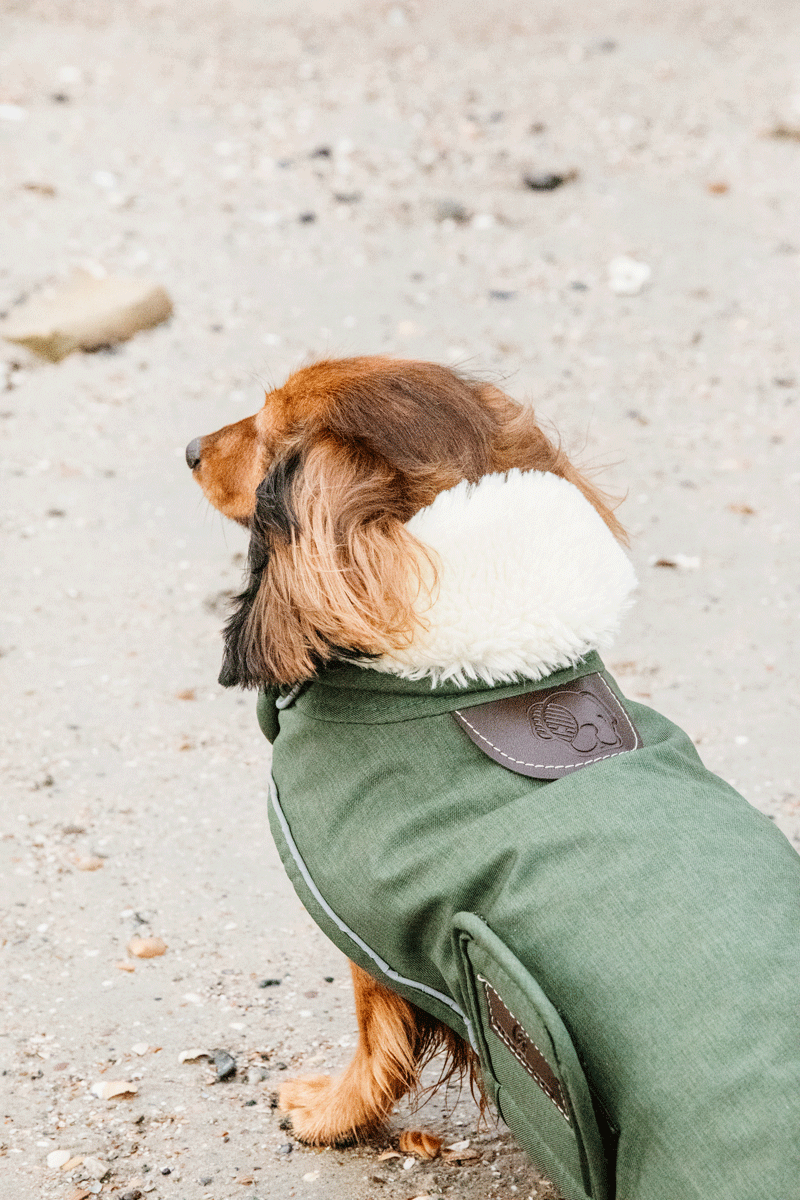 Kentucky Horsewear Dog Coat Waterproof 300g Olive
