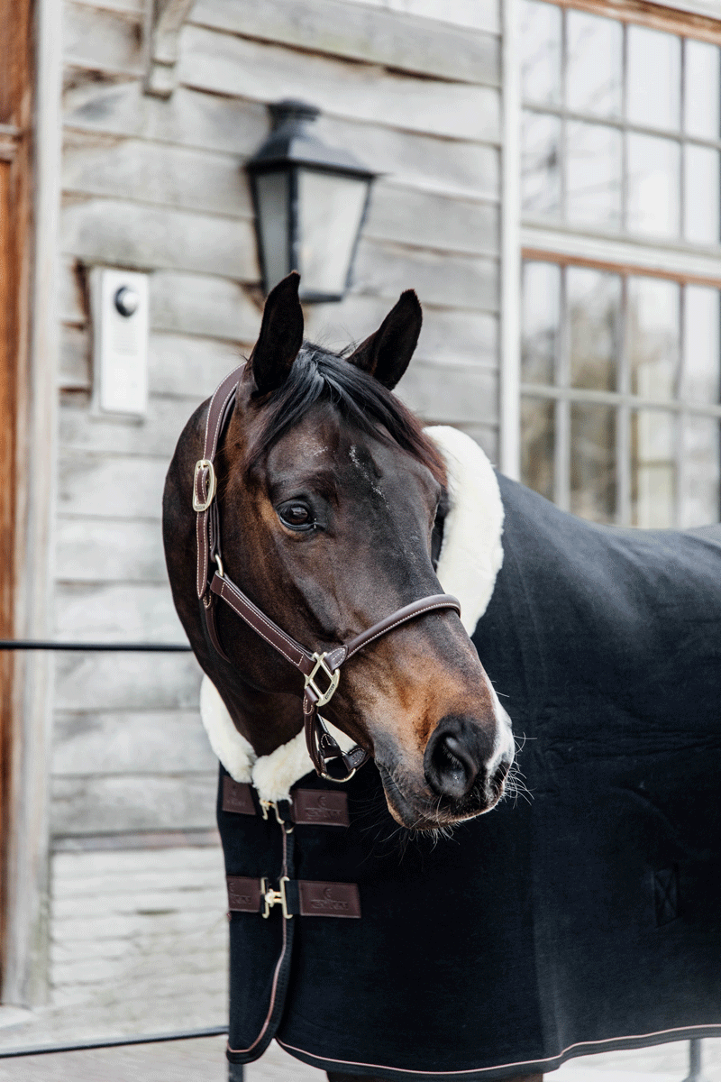 Kentucky Horsewear Fleece Show Rug Heavy Black