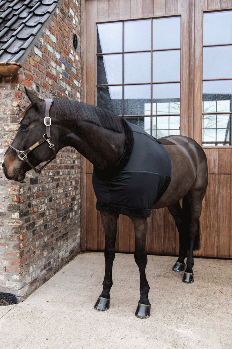 Kentucky Horsewear Chest Protection Black 