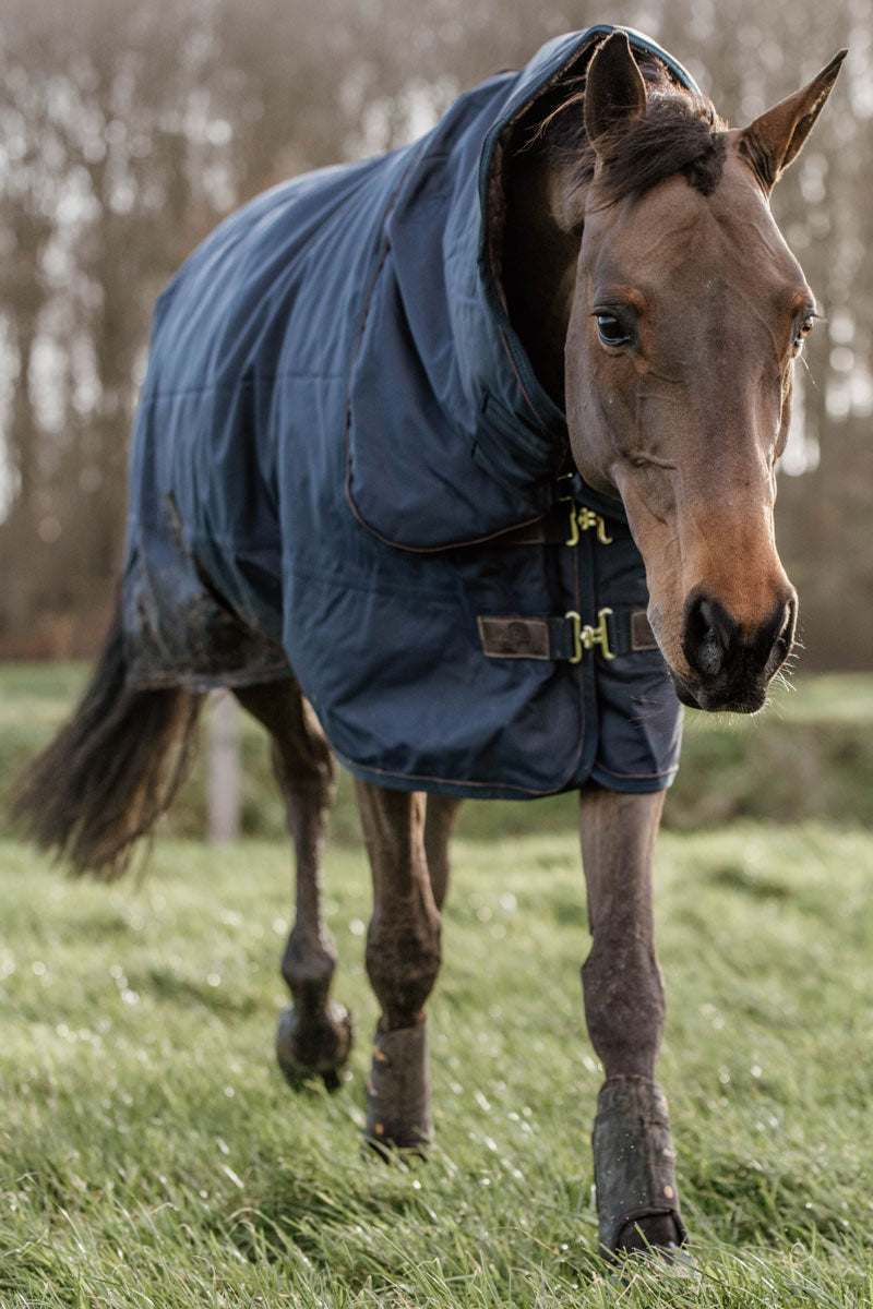 Kentucky Horsewear All Weather Pro Turnout Rug 0g Navy