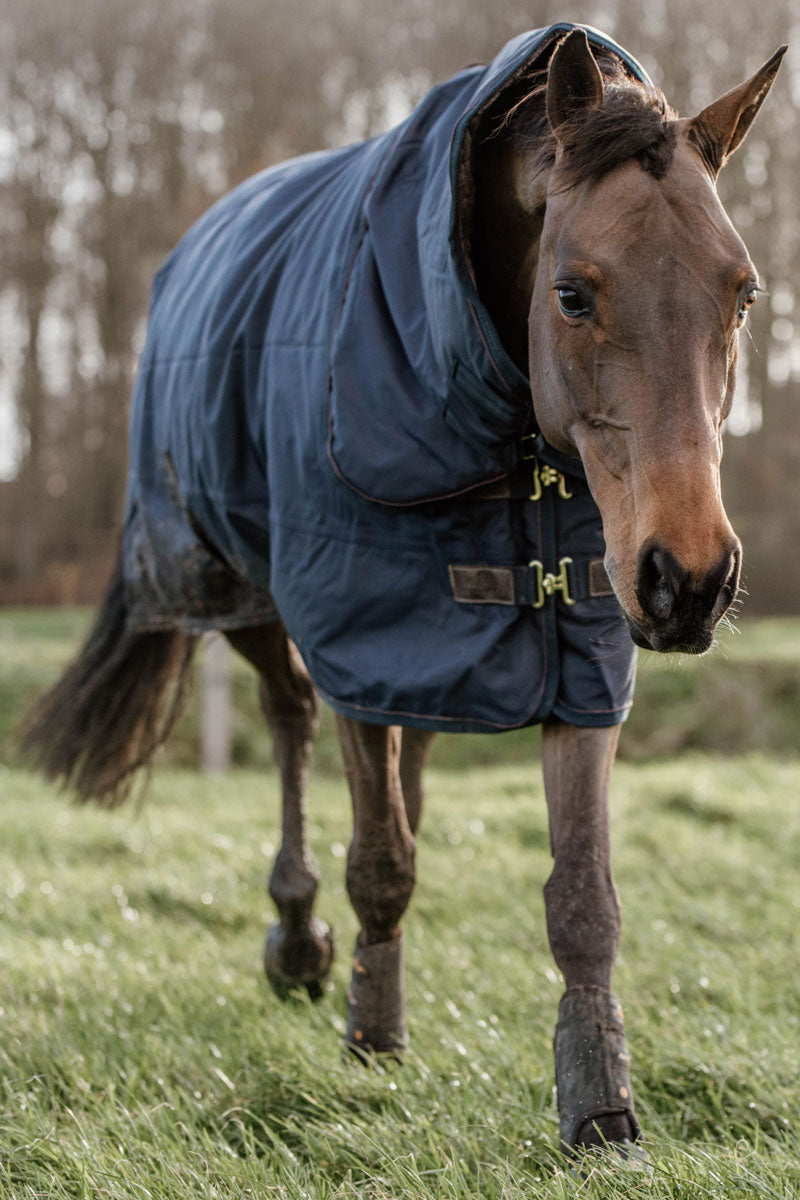 Kentucky Horsewear All Weather Pro Turnout Rug 160g Navy