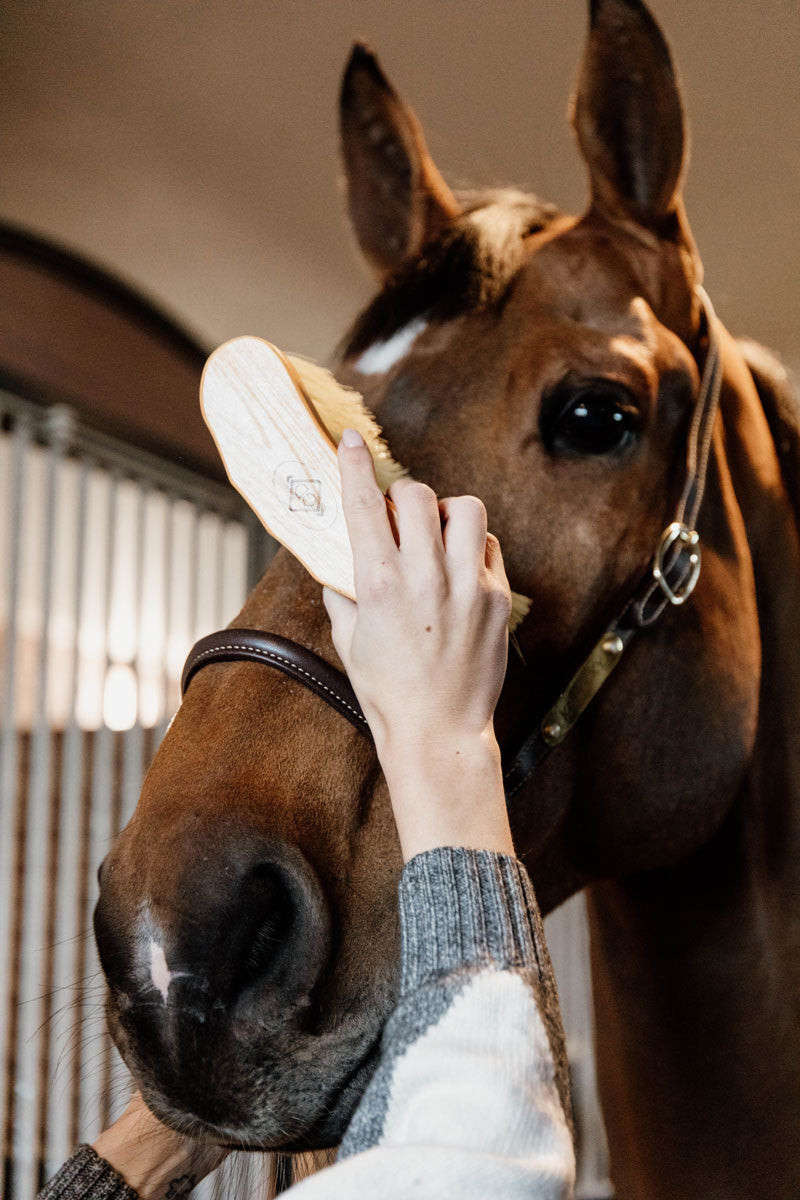 Grooming Deluxe Middle Brush Long