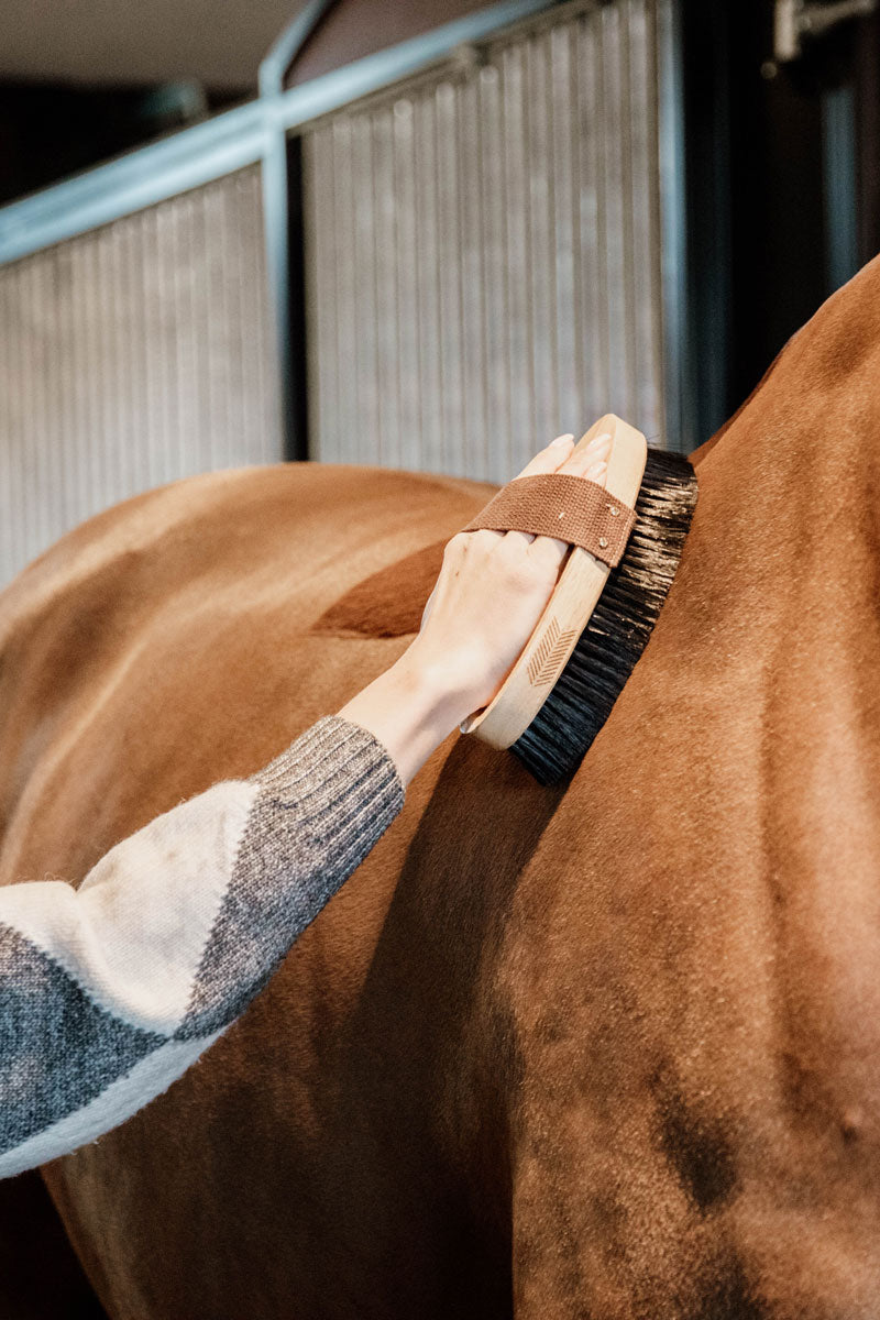 Grooming Deluxe Overall Brush Hard