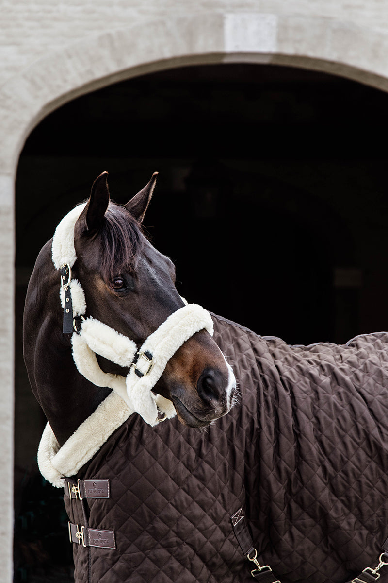 Kentucky Horsewear Show Rug 160g Brown