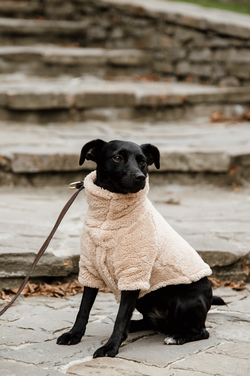 Kentucky Horsewear Dog Teddy Fleece Beige