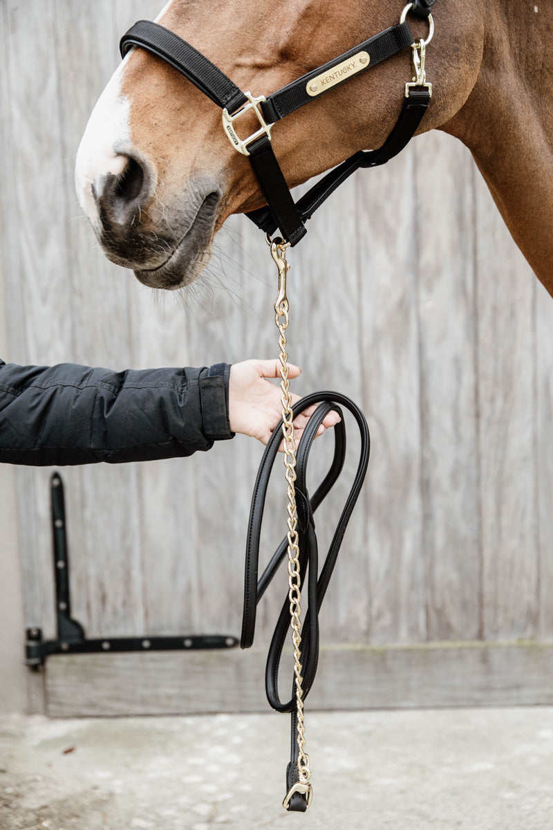 Kentucky Horsewear Leather Chain Lead Black